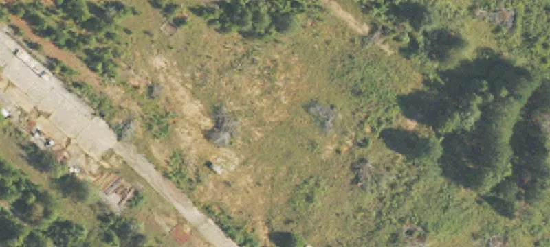 Ellaville, GA 31806