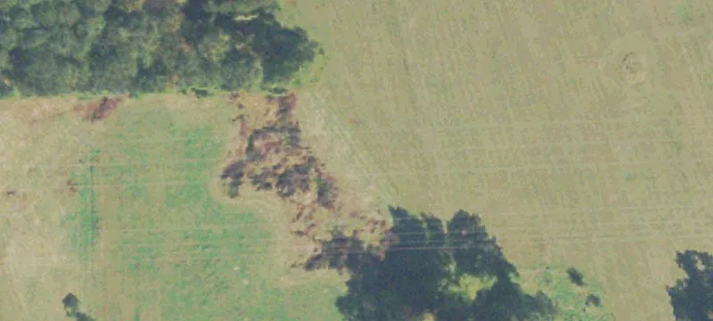 Bankhead Hwy