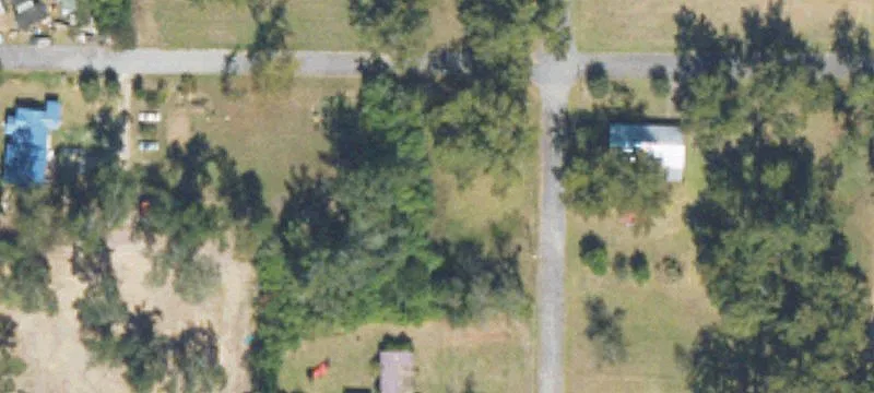 Brinson, GA 39825