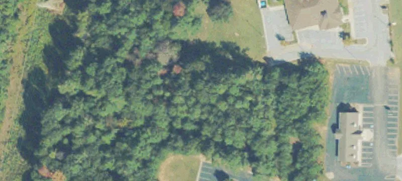 Homer Rd