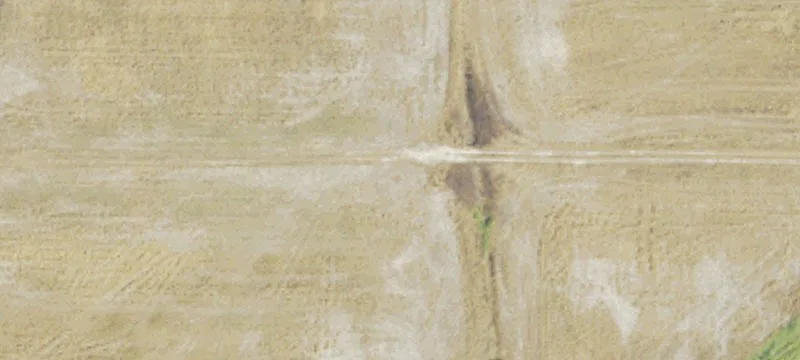 995 Us Hwy 19th N