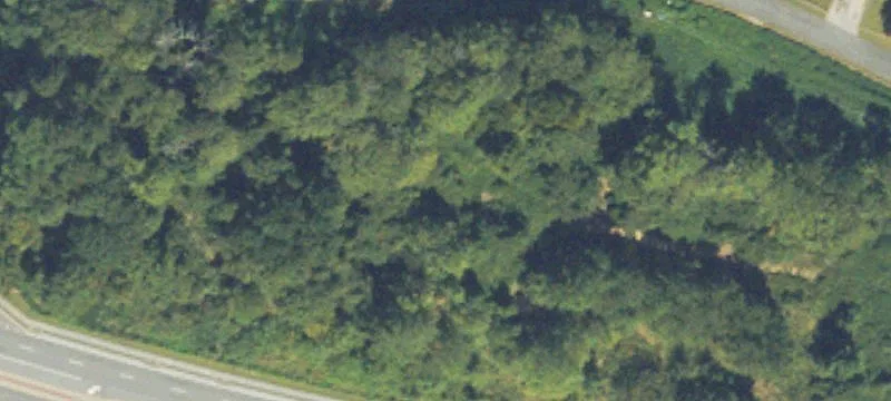 Richard D Sailors Pkwy