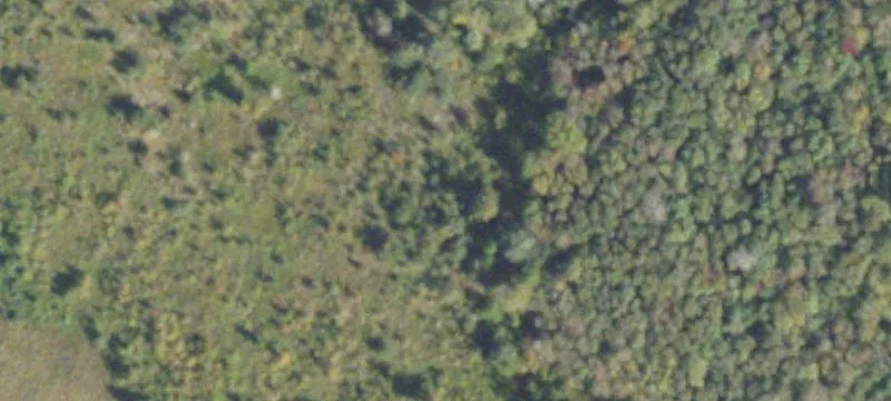 Uvalda, GA 30473
