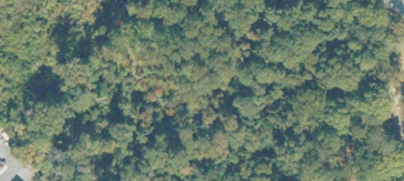 Dublin, GA 31021