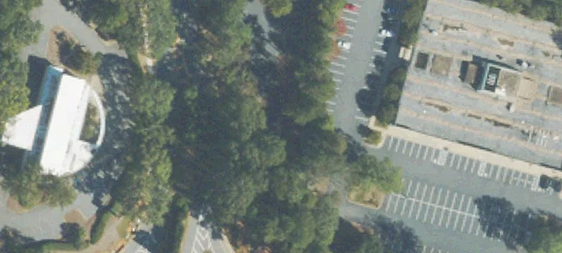 The Cors Pkwy