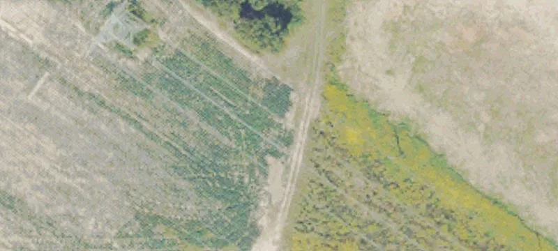 Gunn Rd