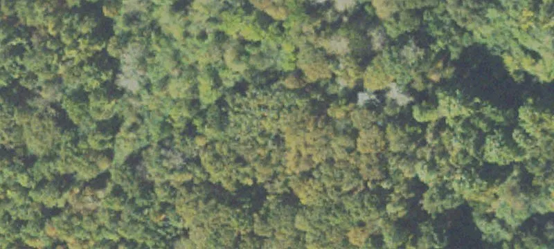 Sovis Rd