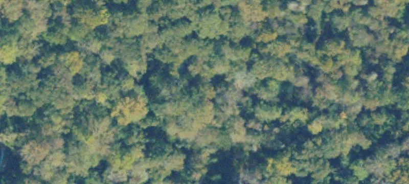 Dublin, GA 31021
