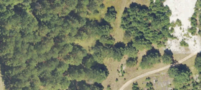 Oglethorpe, GA 31068