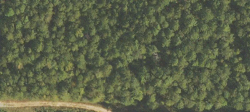 Millard Farmer Rd