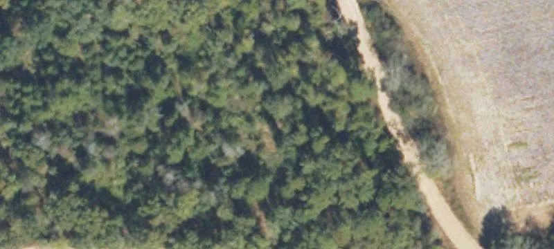 Lunsford Rd