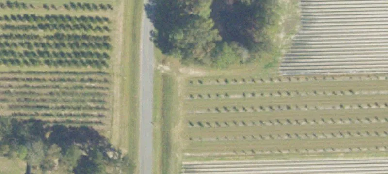 Enigma, GA 31749