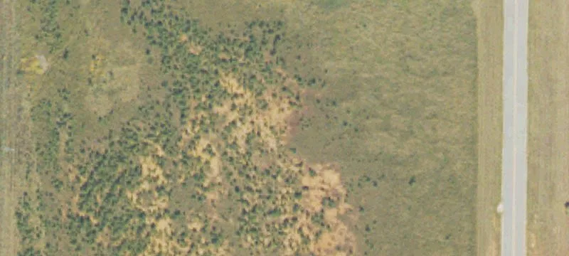 Locust Grove, GA 30248