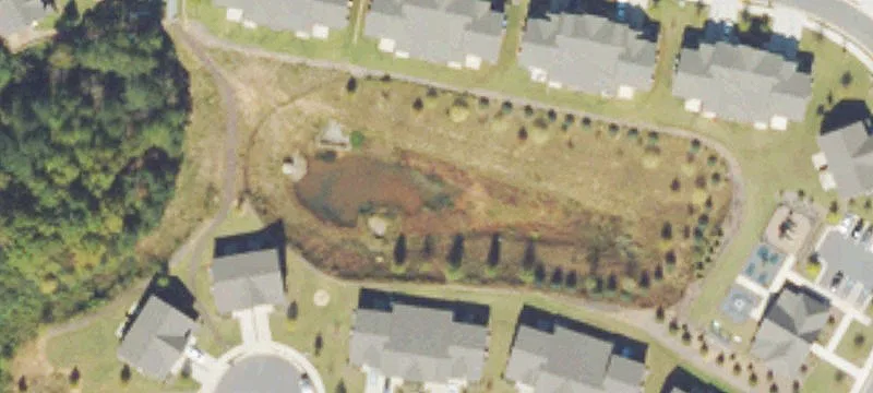 215 Brighton Way