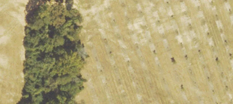 Us Hwy 341st S