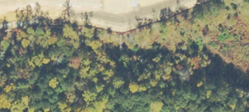 Harry Mccarty Rd