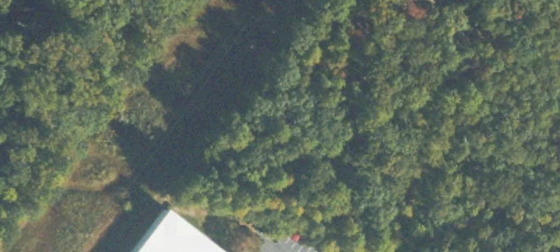 Sims Rd