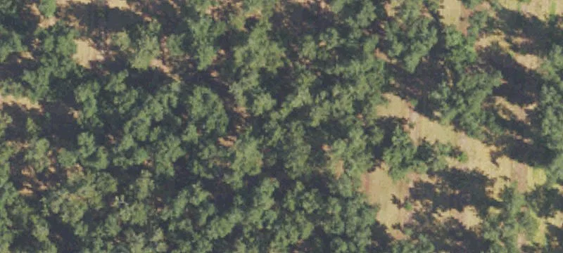 41 Ga