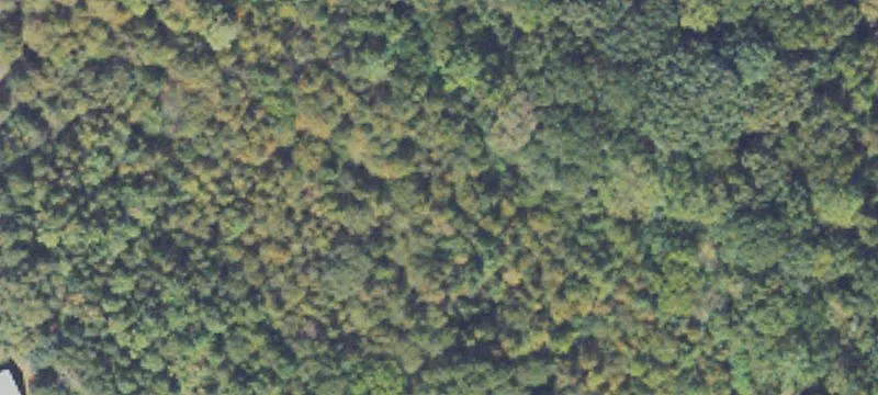 Woodkraft Rd