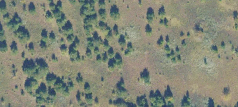 729 Firetower Rd
