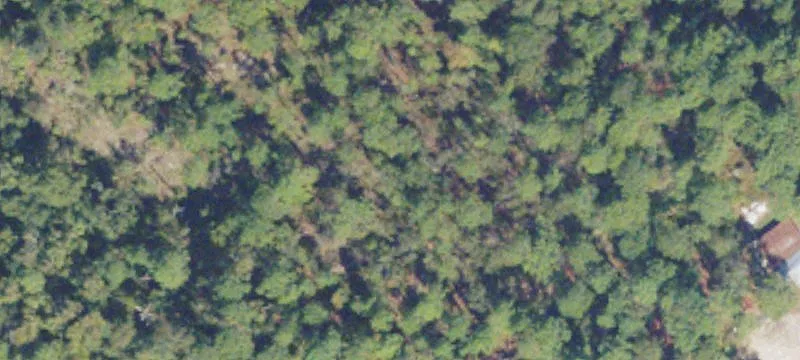 Glenwood, GA 30428