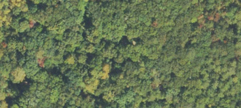 White Oak Gap Rd