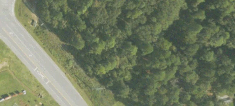 502 Mims Rd