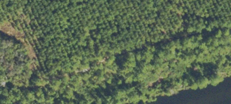 Woodbine, GA 31569