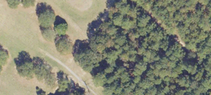 421 Mac Thompson Rd