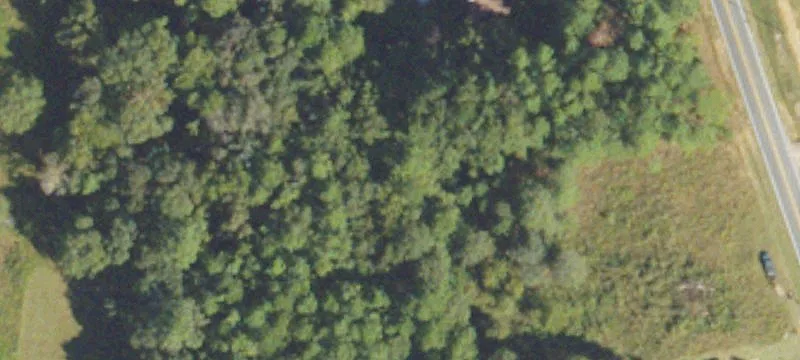 1445 Cv Mosley Blvd