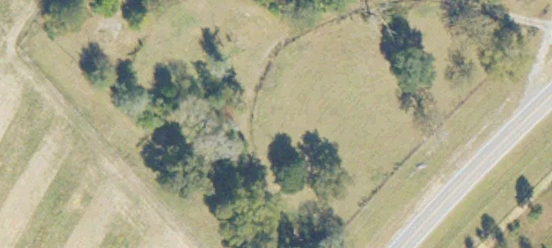 Montrose, GA 31065