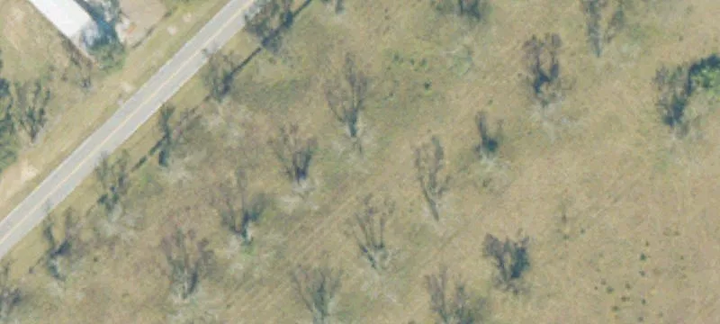 Kellam Rd