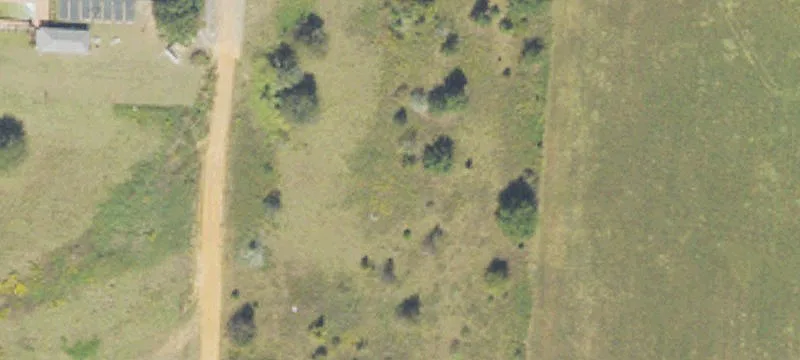 Cuthbert, GA 39840