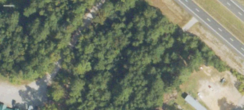 Savannah Hwy