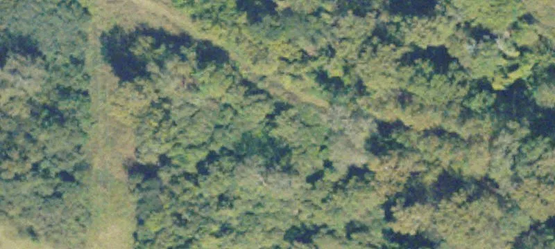 Dublin, GA 31021
