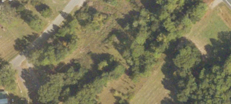 Savannah Hwy
