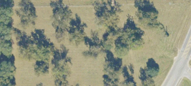 226 Bowens Ml Hwy