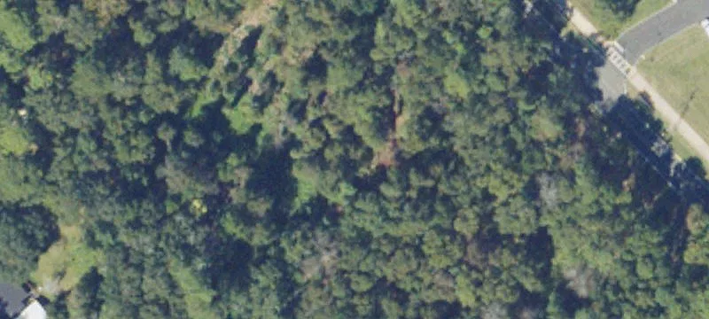 Pinetree Blvd