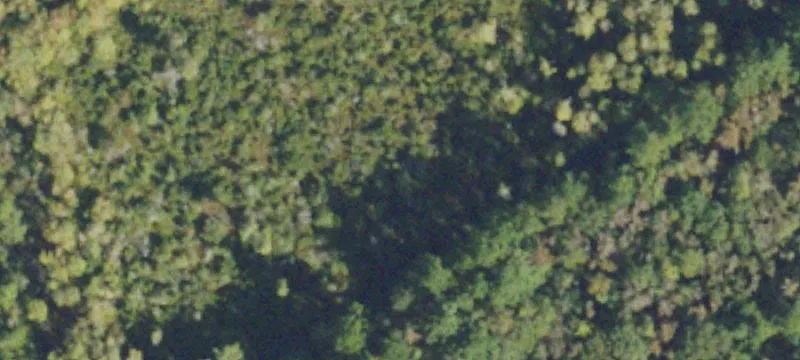 Cody Rd, GA