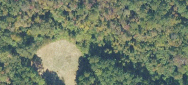 Honeysuckle Rd