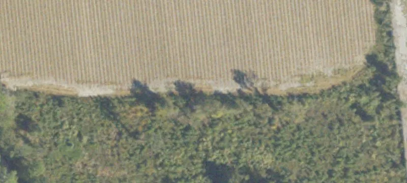 Lee Ball Rd