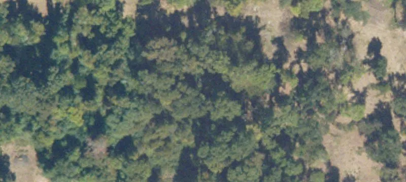 Newton Hwy