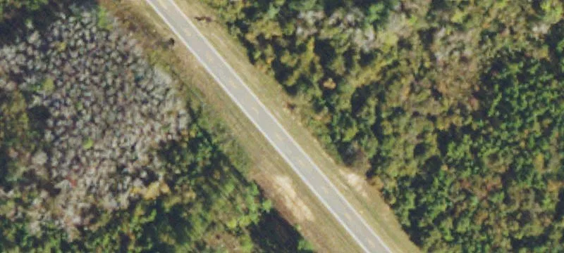 Cordele, GA 31015
