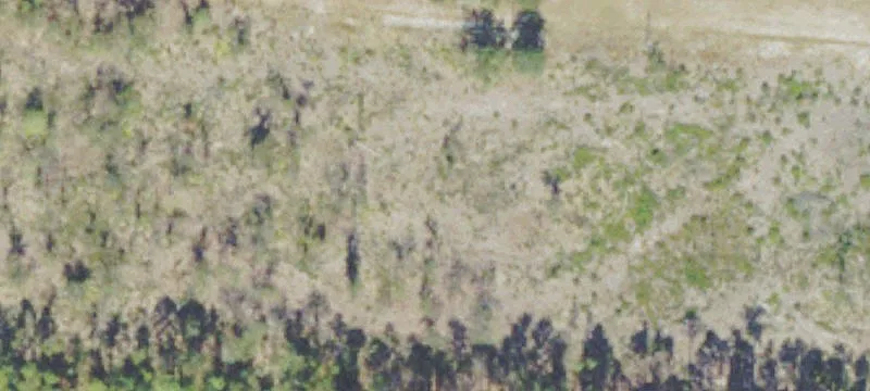 Oglethorpe Hwy
