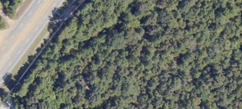Peach Pkwy