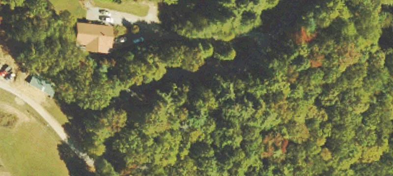 Dillard, GA 30537
