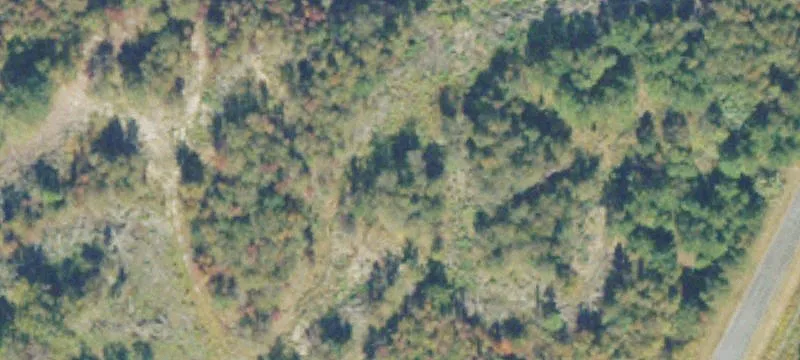 Dublin, GA 31021