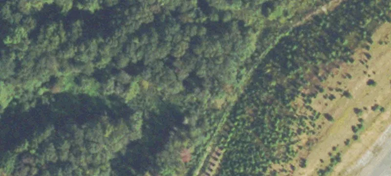 3485 Hwy 198