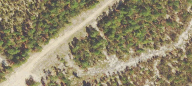 4450 Deans Brg Rd