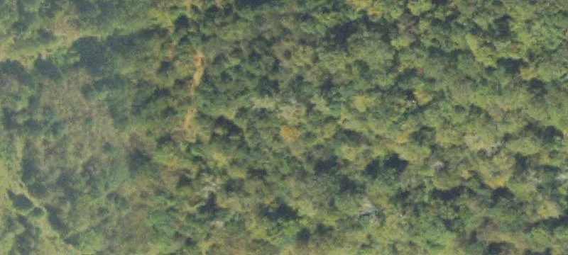 Lg Dr